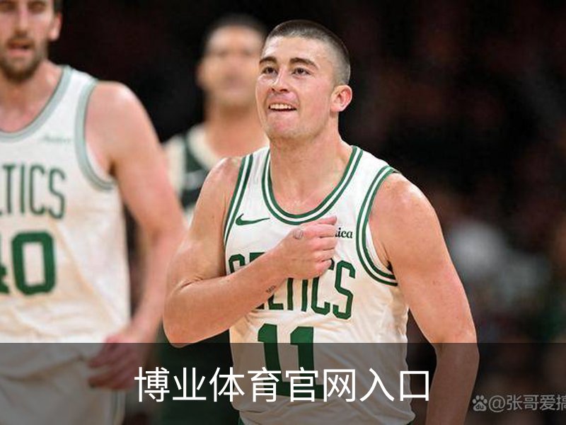 博业体育官网入口概况